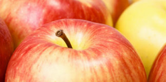 Sagra della mela Annurca 1331 0 Sagra della mela Annurca